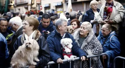 Las celebraciones de San Antón bajo la lupa por la nueva ley de bienestar animal.