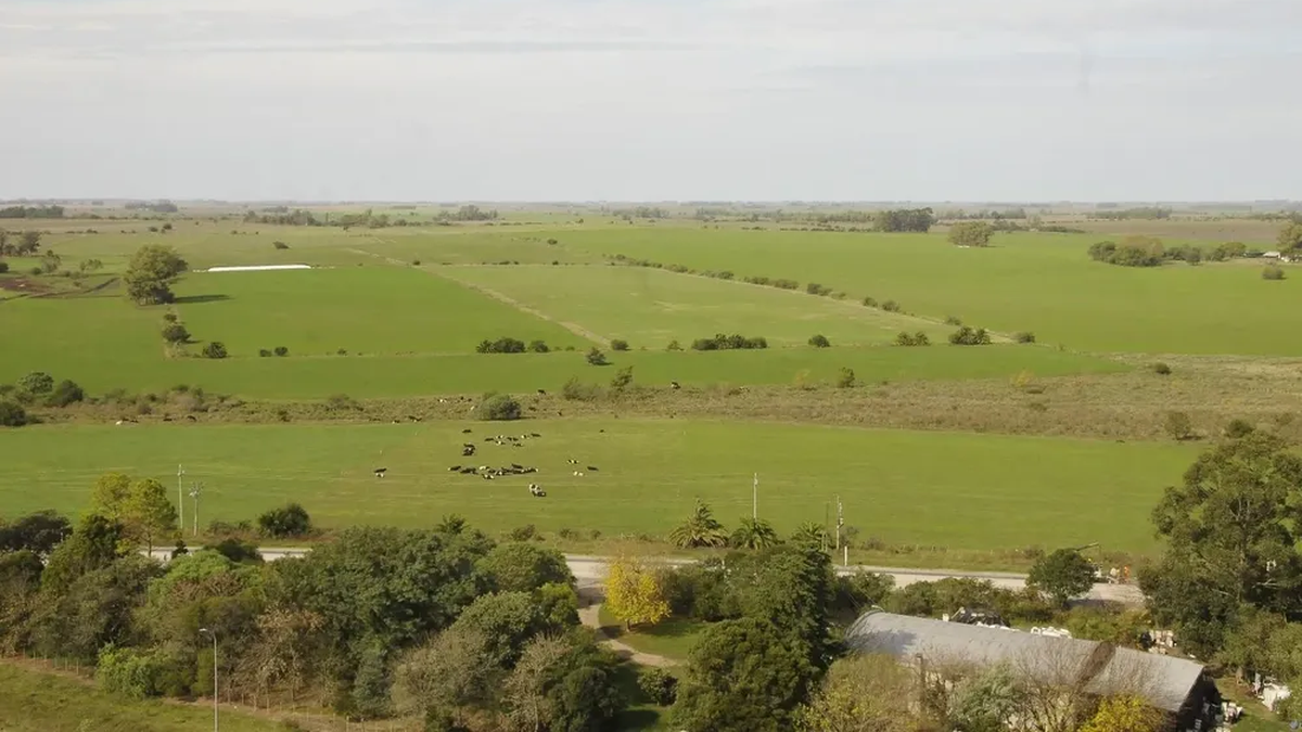 Uruguay: el encalado de suelos podría aportar 0,5% al PIB