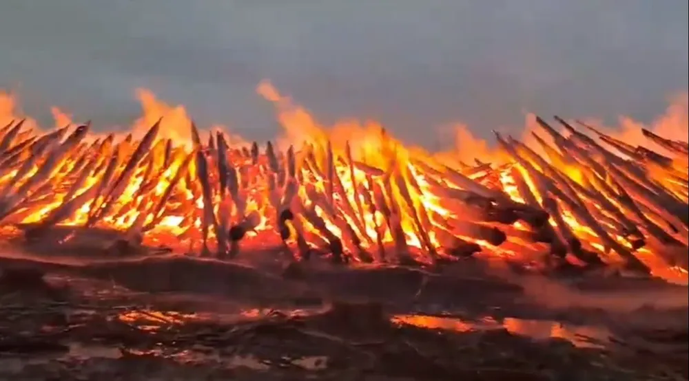 Incendio de una estiba de madera de la empresa UPM en Tacuarembó