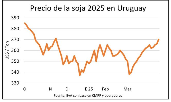 El mercado de soja domina la atención de agricultores y operadores de granos en Uruguay: así están las cosas