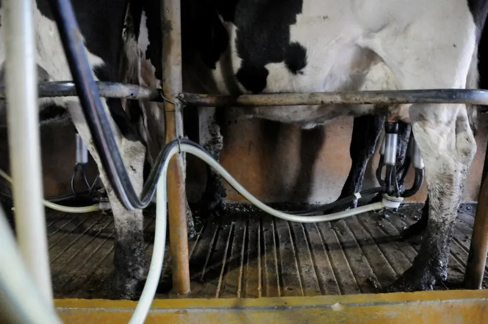 Comienzan los planes de uso y manejo de suelos obligatorios para la lechería
