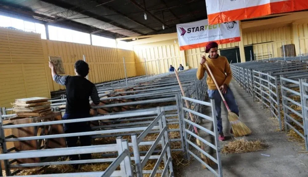 Los bretes para los ovinos están prontos para recibir los ejemplares que participan de la exposición