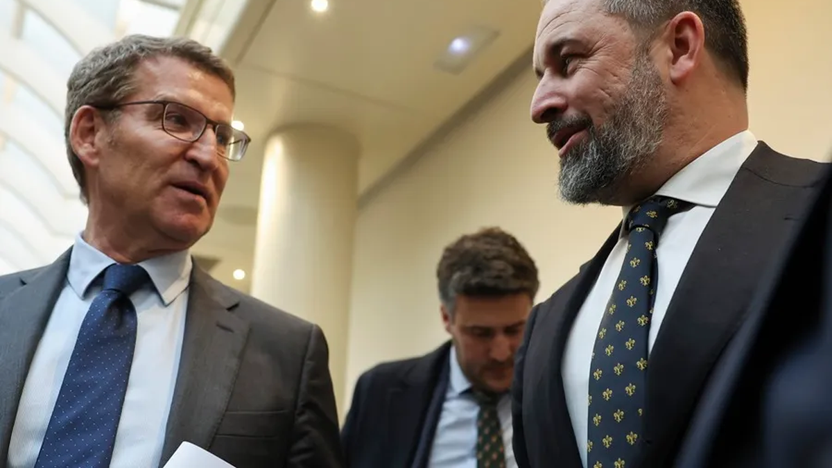 PP Y VOX: el fin de un matrimonio por conveniencia