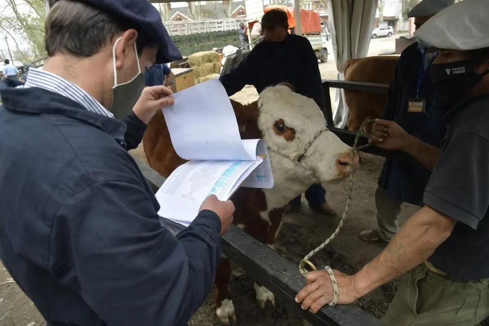 Admisión veterinaria.