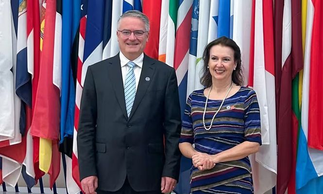 Mondino se reunirá esta semana con el Mathias Cormann, jefe de la OCDE, y avanzará en las negociaciones de acceso a ese organismo.