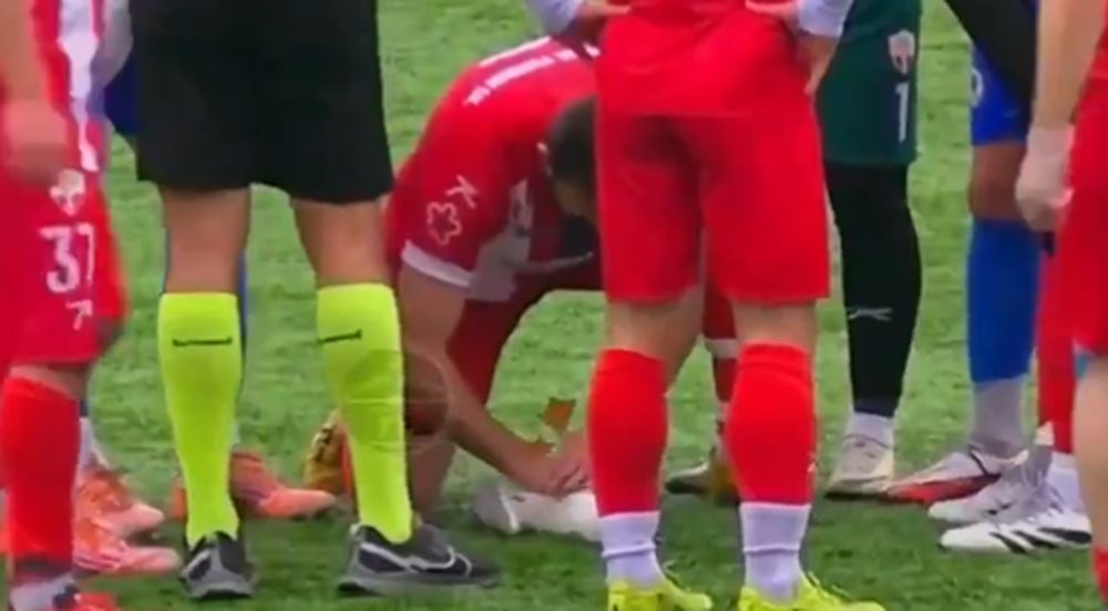 El masaje cardíaco a la gaviota en Turquía