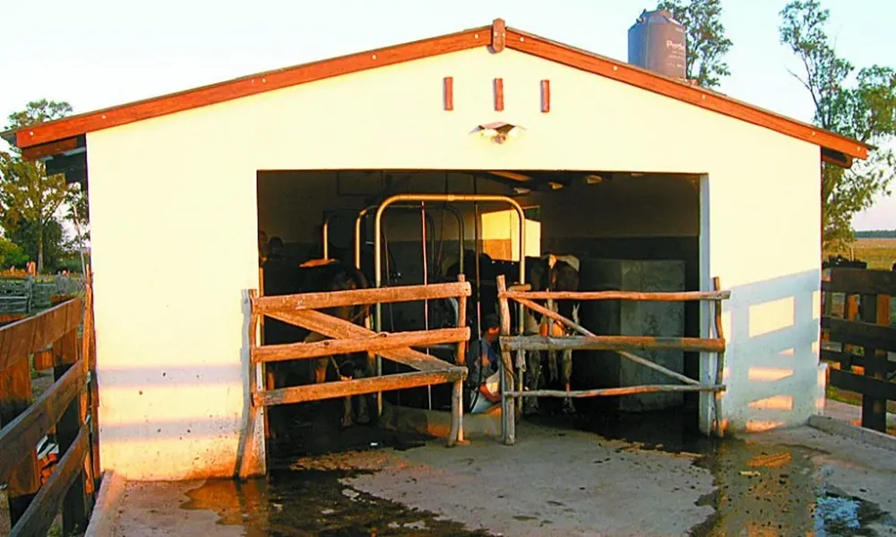 No solo se trata de brindar soluciones habitacionales, también productivas.