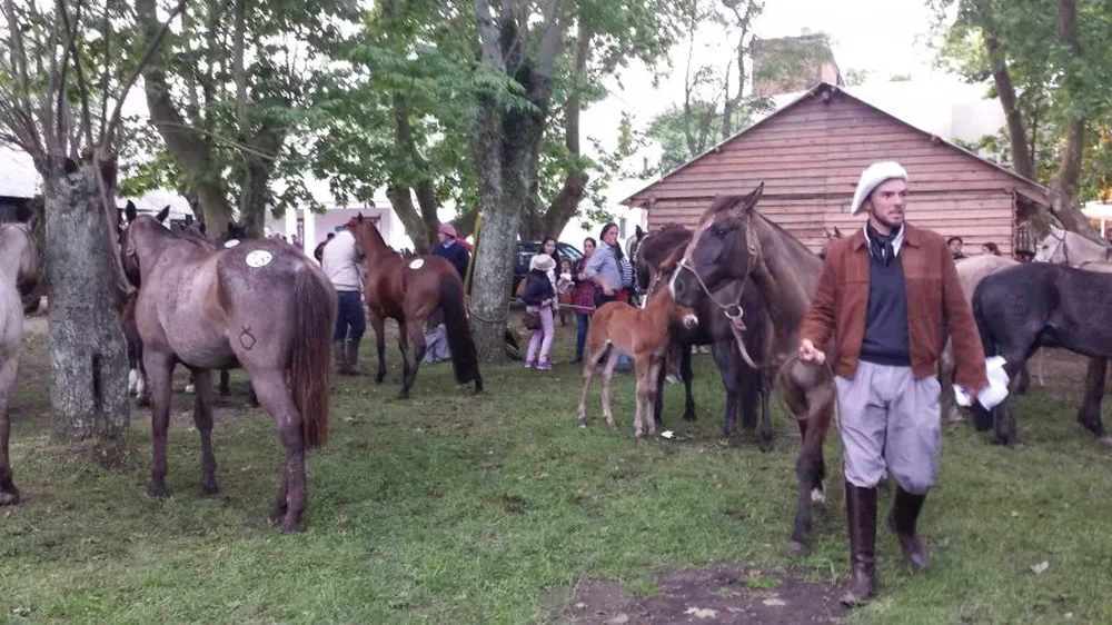 Rematarán Silveira, Alori, Bencochea y Federico Rodríguez con Scotiabank