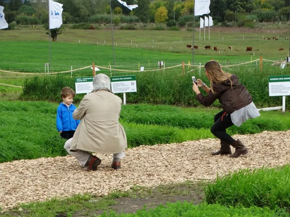 Se perfilan varias novedades para una nueva Expo Melilla.
