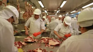 La carne bovina continúa siendo el principal rubro exportado.