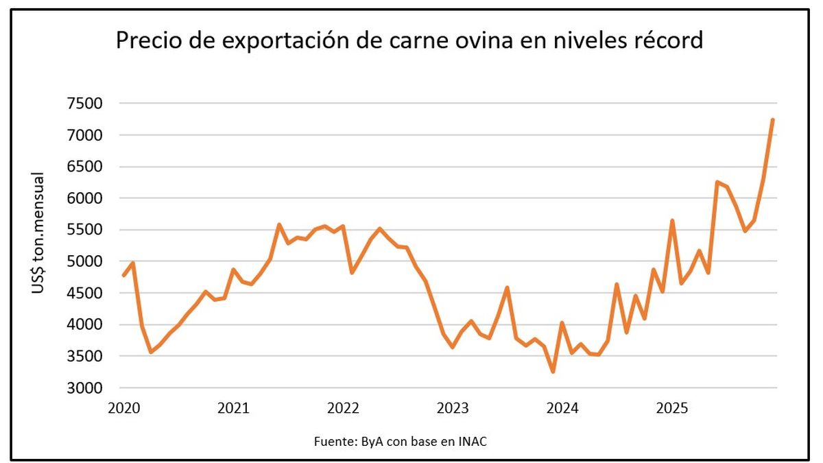 Combo ideal: carne ovina con récord de precios y las lanas con los mejores valores en seis años