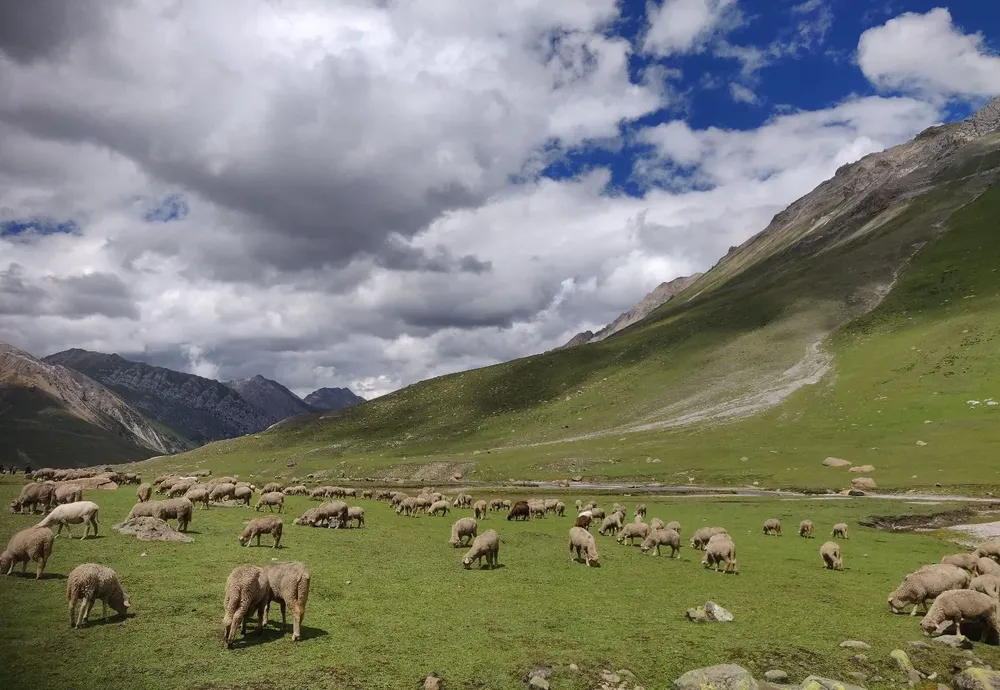 Se puede ajustar el tamaño de la majada.