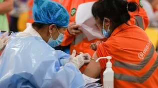 el gobierno asegura que son afirmaciones totalmente falsas.
