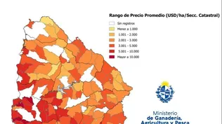 Compraventa de tierras: indicador US$/ha por sección catastral.