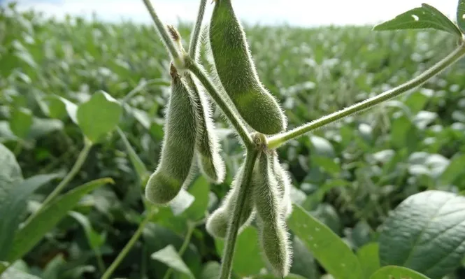 Esta creencia y los mensajes catastrofistas que de ella se derivan no son únicamente característicos de nuestros días.