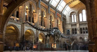 El Museo de Historia Natural de Londres, organizador del concurso