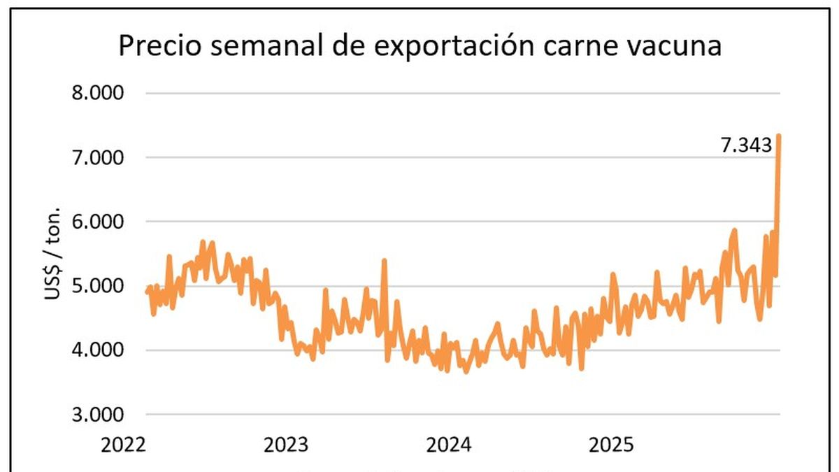 Mercado ganadero tonificado con precio de exportación récord para la carne vacuna