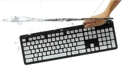 El Observador | 0000355295.webp