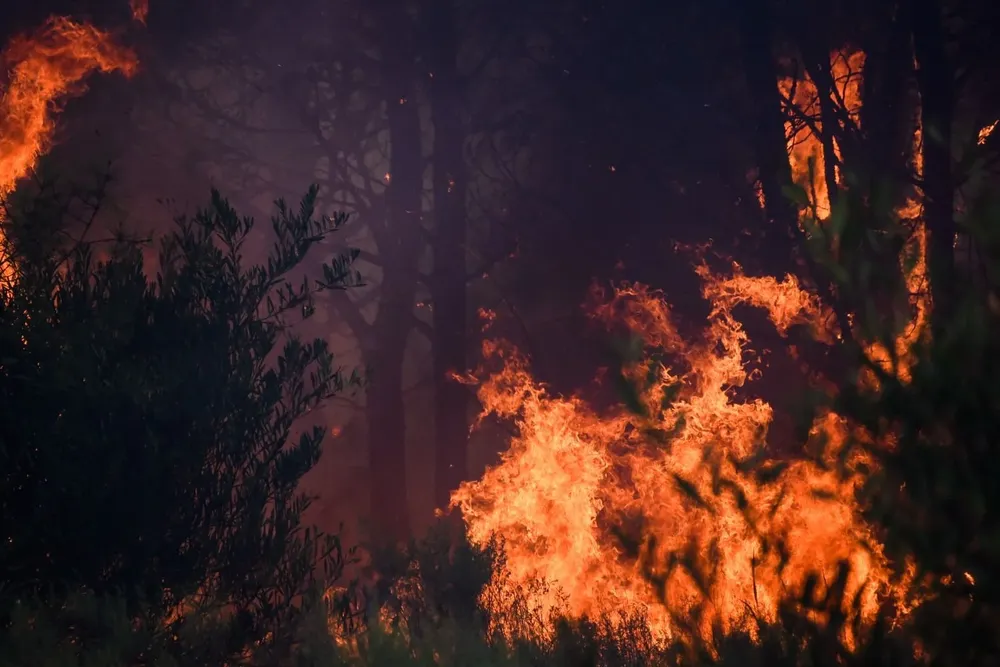 Incendios forestales