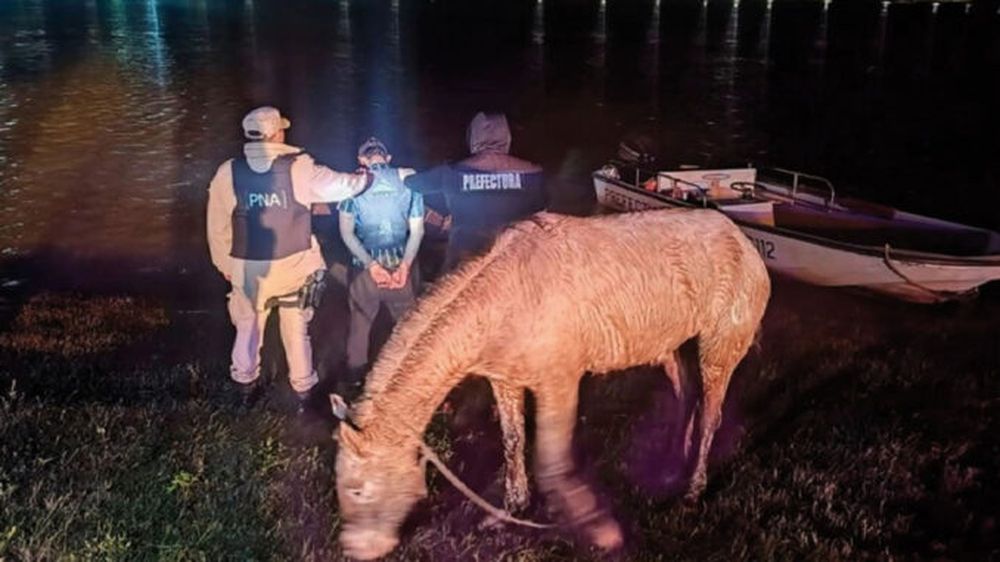 Joven detenido en Salto por presunto tráfico de animales