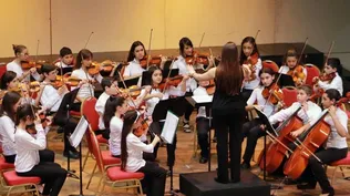 La música clásica mejora el estado de ánimo en pacientes con depresión al sincronizar la amígdala extendida