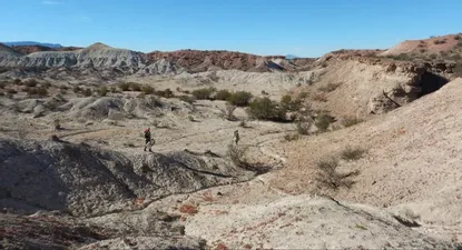 Hallaron restos fósiles de estos fósiles de una especie precursora de los mamíferos en La Rioja