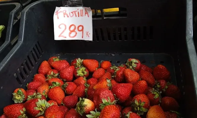 Precio de la frutilla en una verdulería en Montevideo.