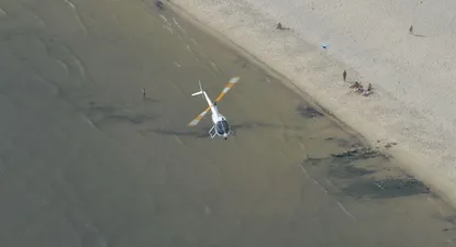 El Observador | LCM_9877.webp