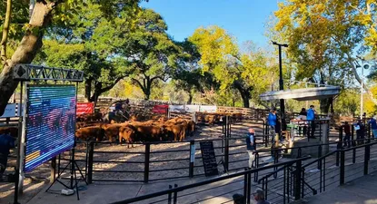 El remate se hará en el local Conventos.