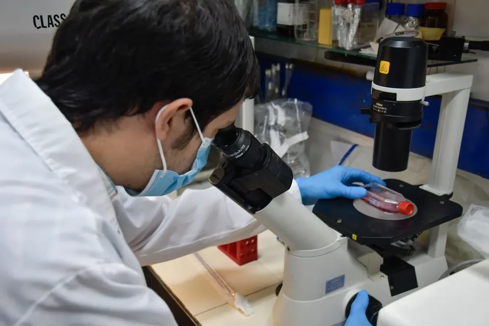 Un estudiante investiga en la Facultad de Ciencias.
