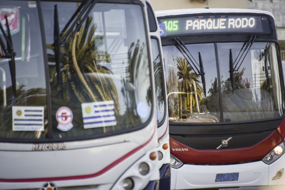 20240712 Transporte público, omnibus linea 405(2).jpg