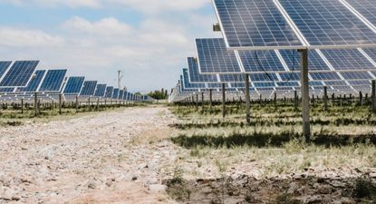 El Parque Solar El Quemado, ubicado en Mendoza, tendrá una capacidad instalada final de 305 megavatios (MW).