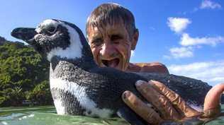 Mi amigo el pingüino: la increíble historia de una amistad que conmovió al mundo y fue llevada al cine con el actor Jean Reno