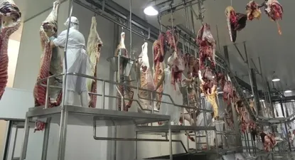 Estiman pérdidas de hasta US$ 60 millones por medidas de China