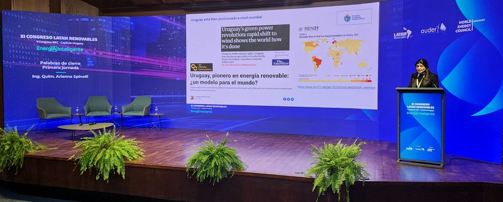 Arianna Spinelli, directora nacional de energía