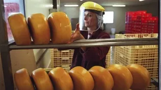 Rusia es el tercer destino de las exportaciones lácteas de Uruguay