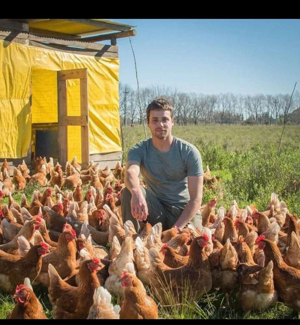 Productor de huevos en Estación Pedrera, Ramiro Balao, con sus gallinas sueltas.