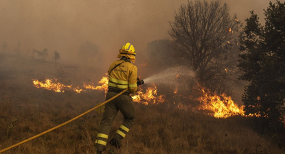 Bomberos luchan contra el feroz incendio en Zamora.