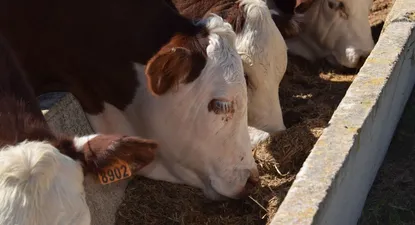 El Observador | 1649370499697.webp