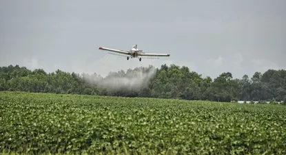 plaguicidas: un desafio vigente
