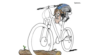 El Observador | 1602188591685.webp