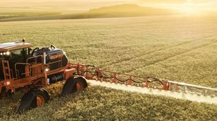 Entre el agro, la minería y la energía se proyecta una liquidación récord de dólares en 2026