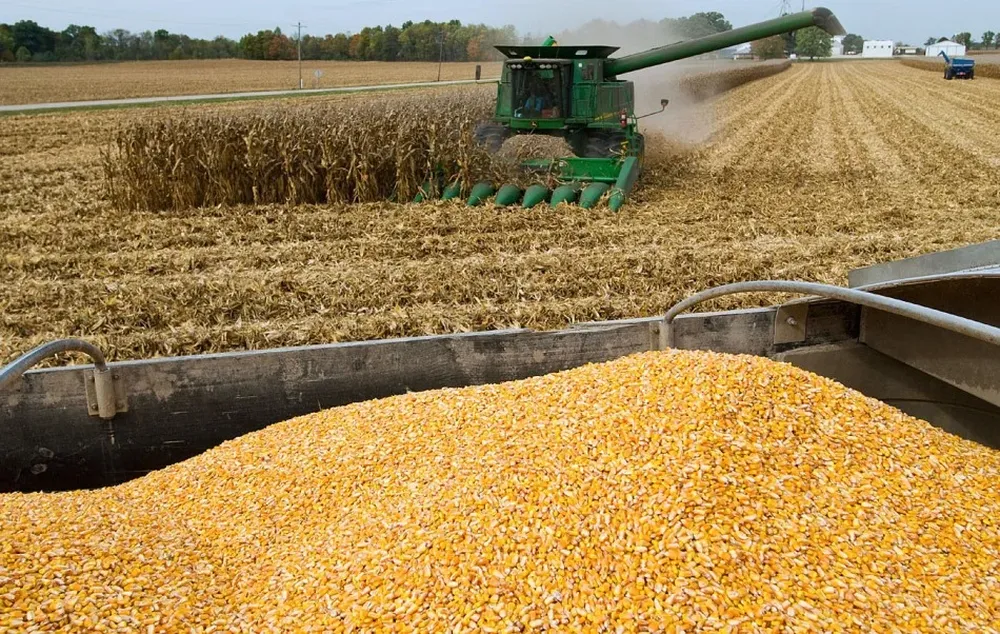 La producción de granos sigue siendo favorable, pero no es una actividad sencilla