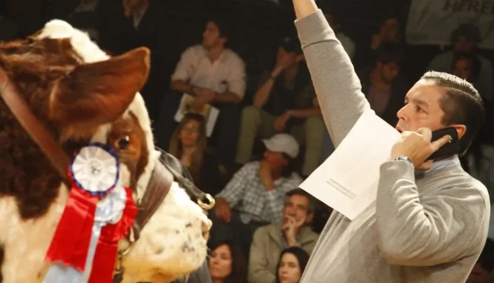 El momento de la venta del Gran Campeón de Las Anitas