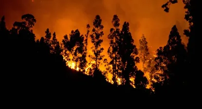 Las llamas destruyeron 155 mil hectáreas de tierra en el centro del país