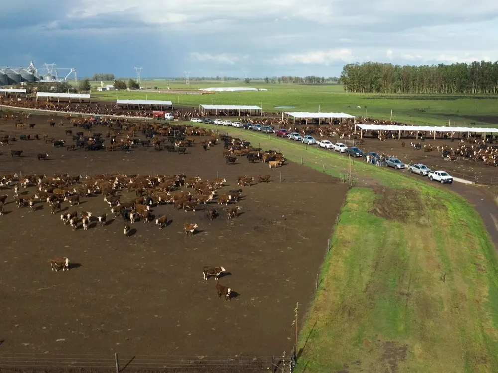 Planta de raciones de ADP en Caraguatá.