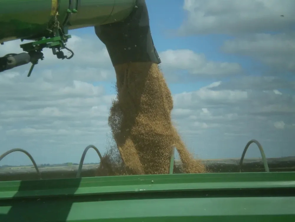 Argentina tendrá una buena zafra de granos