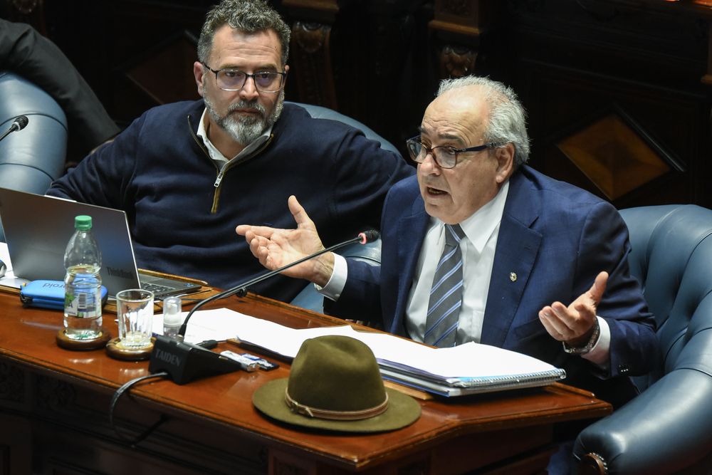 20250813 Alfredo Fratti, Matiás Carámbula. Alfredo Fratti. Interpelación al ministro Fratti en el senado.