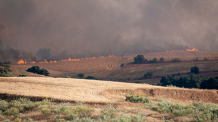 Voraz incendio en Méntrida: el viento aviva las llamas y quema 3.200 hectáreas muy cerca de Madrid
