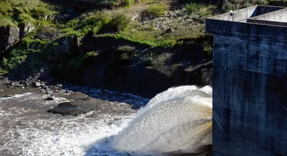 El Observador | -ine6659-jpg..webp